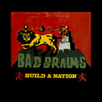 Build A Nation V-neck Tee | Artistshot