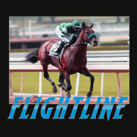 Flightline Classic Horseracing Scorecard Crop Tee | Artistshot