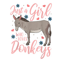 Donkey Just A Girl Who Loves Donkeys Funny Donkey Lover Gift T Shirt Maternity Scoop Neck T-shirt | Artistshot