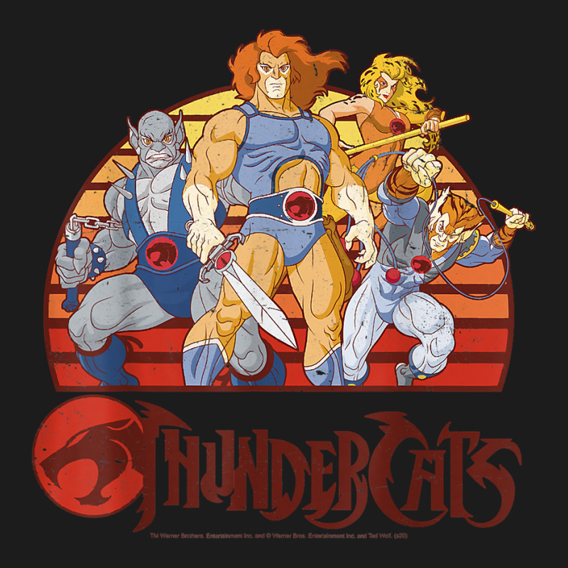 Thundercats Group Retro Sunset T Shirt Hoodie & Jogger set by judexynuk | Artistshot