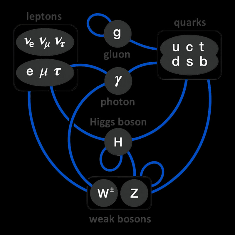 Standard Model Particles Higgs Boson Physics Theory Long Sleeve Shirts by cm-arts | Artistshot