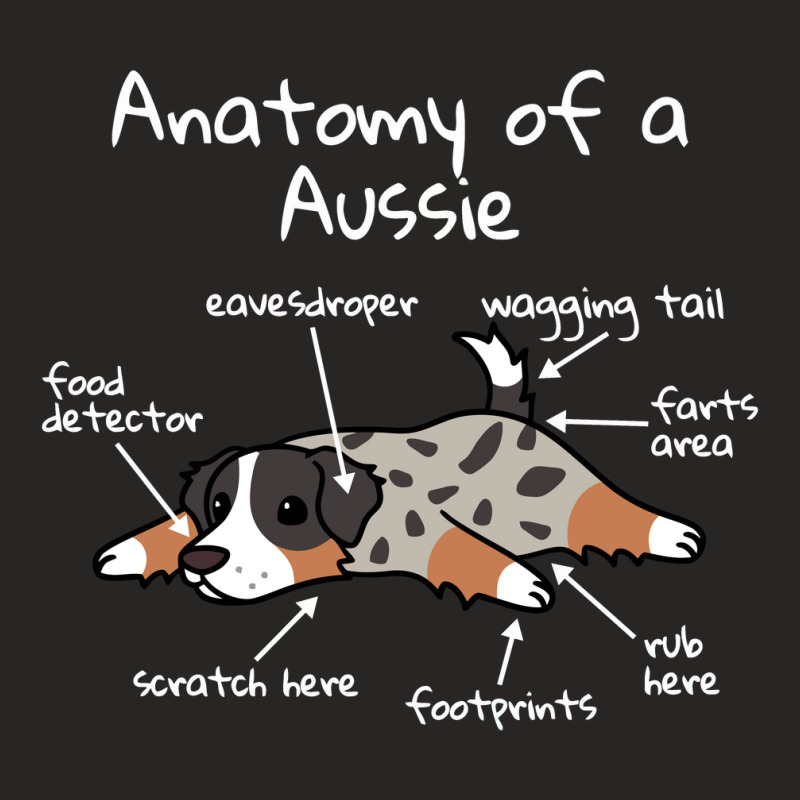 Anatomy Of A Australian Shepherd, Australian Shepherd Ladies Fitted T-Shirt by saterseim | Artistshot