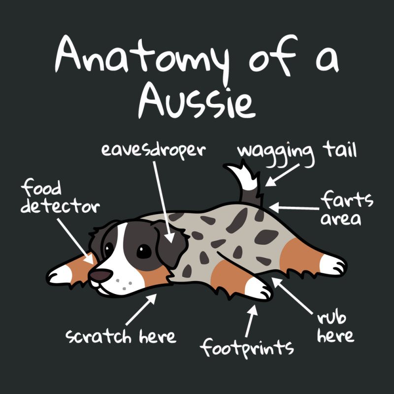 Anatomy Of A Australian Shepherd, Australian Shepherd Women's Triblend Scoop T-shirt by saterseim | Artistshot