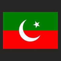 Imran Khan Pti Flag Glossy S Ladies Fitted T-shirt | Artistshot