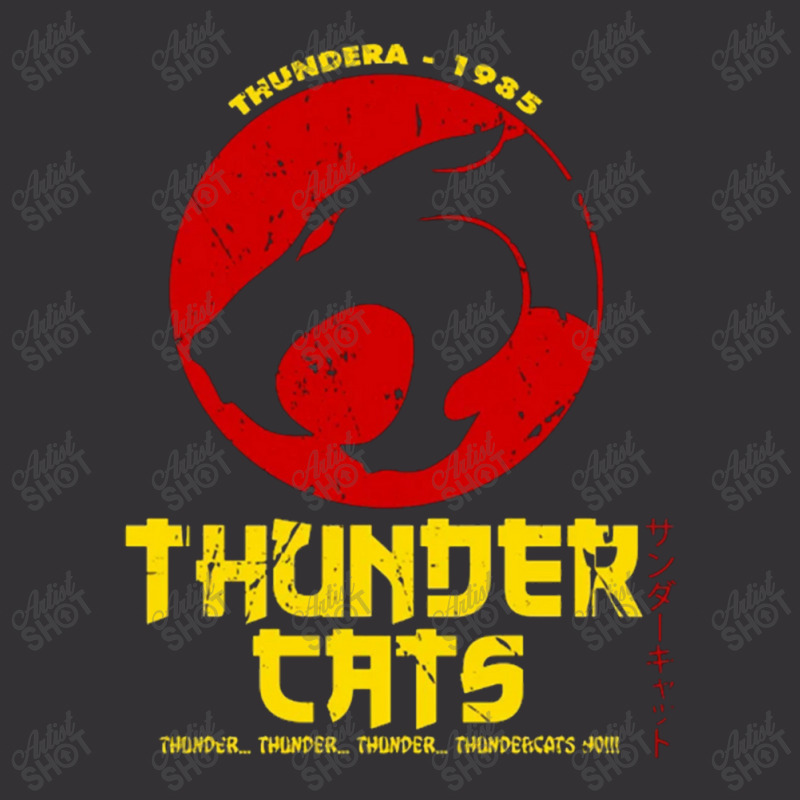 Thundercats Japan Vintage Hoodie by mimifrisby | Artistshot