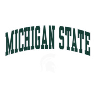 Michigan State Spartans Arch Over Dark Heather Pullover Hoodie Toddler T-shirt | Artistshot