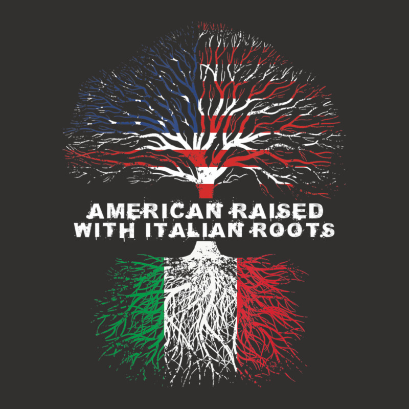 American Raised With Italian Roots Italy Champion Hoodie by cm-arts | Artistshot