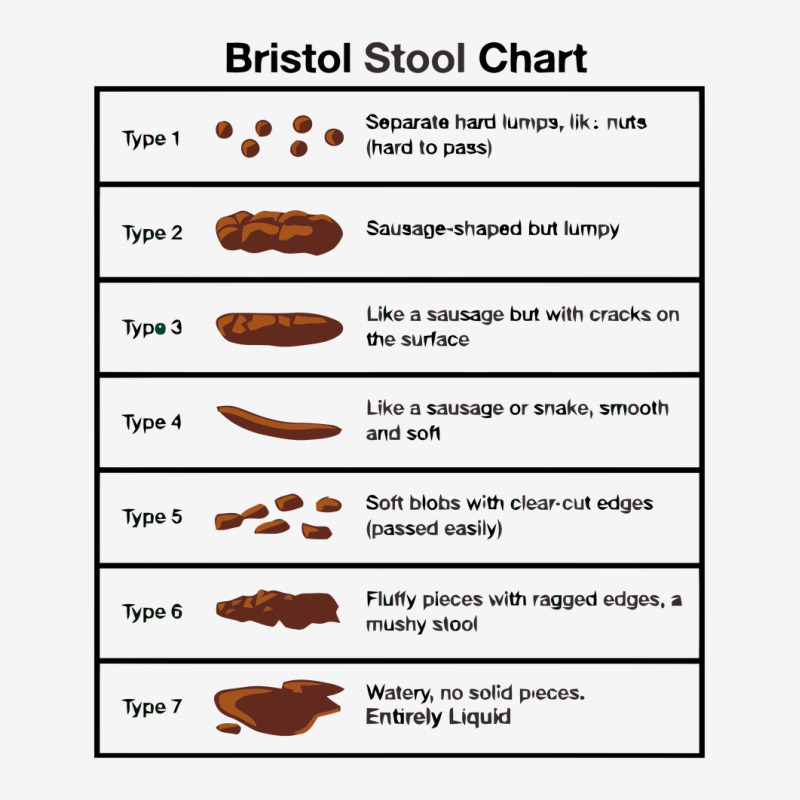 Stool Value Bristol Stool Chart Bristol Stool Chart Silver Rectangle Keychain By ...
