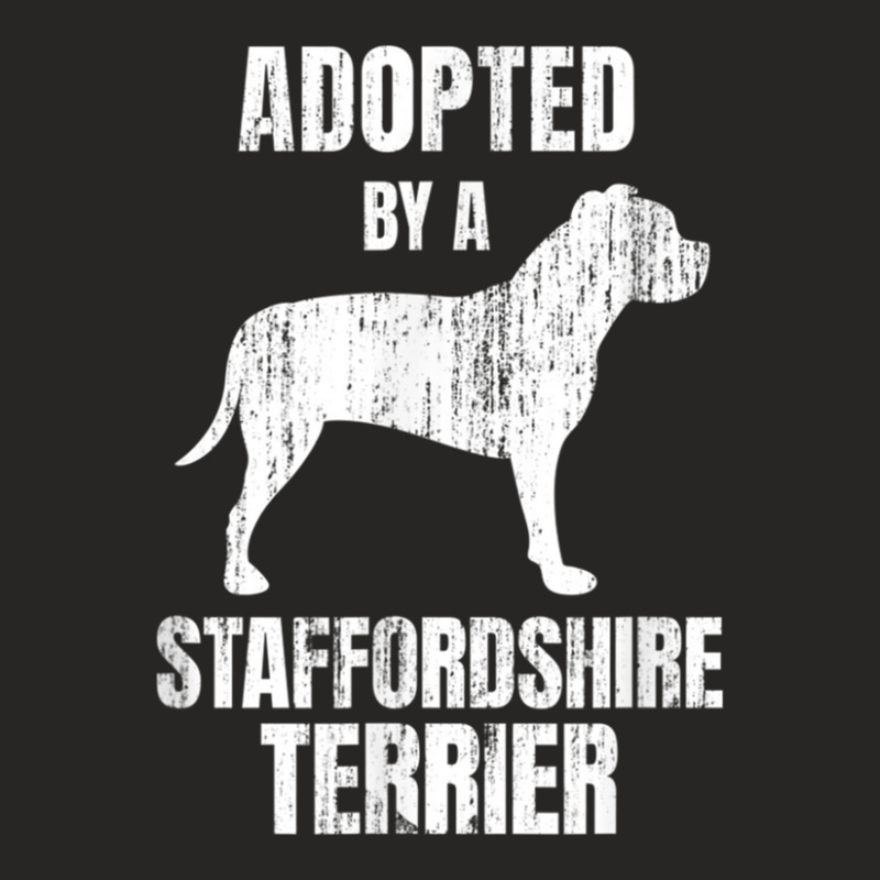 American Staffordshire Terrier 1 Ladies Fitted T-Shirt by FrankJohnson | Artistshot