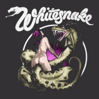 Whitesnake, Whitesnake Vinatge, Whitesnake Art, Whitesnake Painting, T Vintage Hoodie And Short Set | Artistshot