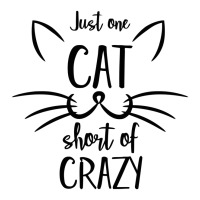 Just One Cat Short Of Crazy V-neck Tee | Artistshot