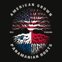 American Grown Panamanian Roots Panama Flag Scorecard Crop Tee | Artistshot