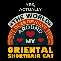 The World Revolves Around My Oriental Shorthair Cat Funny Men's Long Sleeve Pajama Set | Artistshot