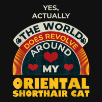 The World Revolves Around My Oriental Shorthair Cat Funny Baby Bibs | Artistshot