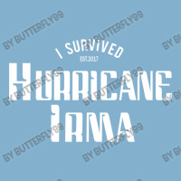 I Survived Hurricane Irma Classic T-shirt | Artistshot