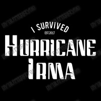 I Survived Hurricane Irma Youth Sweatshirt | Artistshot