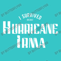 I Survived Hurricane Irma T-shirt | Artistshot