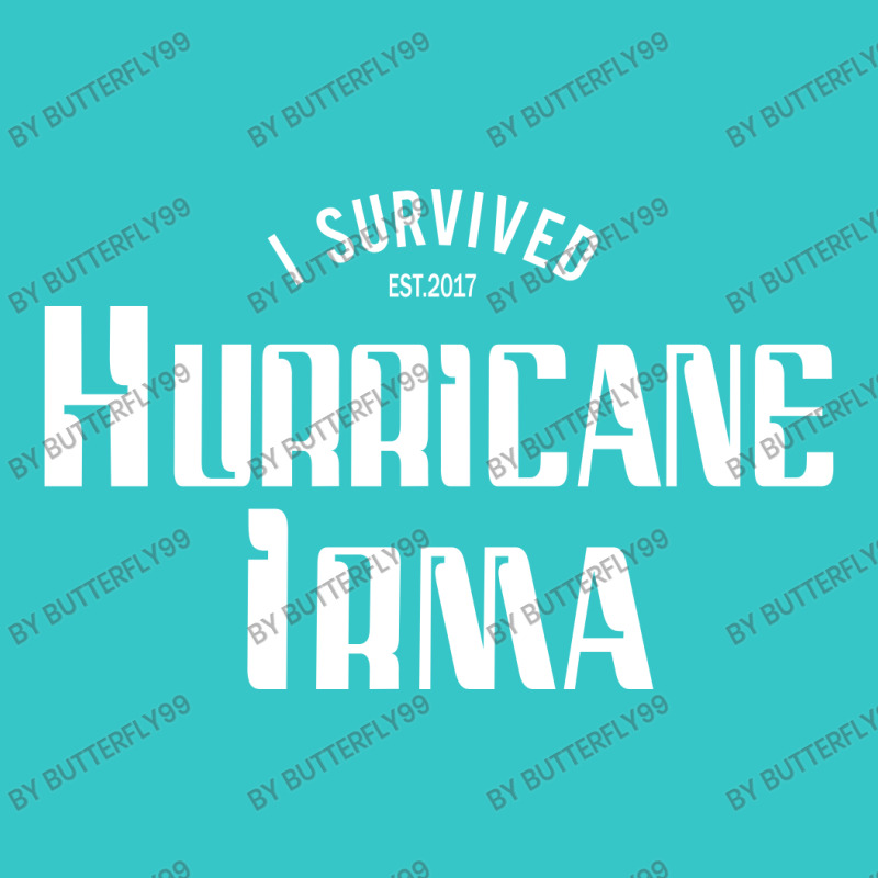 I Survived Hurricane Irma T-shirt | Artistshot