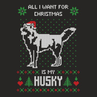 All I Want For Christmas Is My Husky Ladies Fitted T-shirt | Artistshot