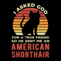 Funny American Shorthair Kids Cap | Artistshot