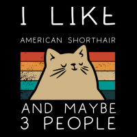 I Like American Shorthair And Maybe 3 People Lightweight Hoodie | Artistshot