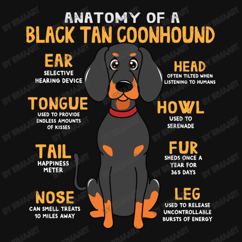 are black and tan coonhound good pets