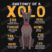 Anatomy Of Xolo Dog Throw Pillow | Artistshot