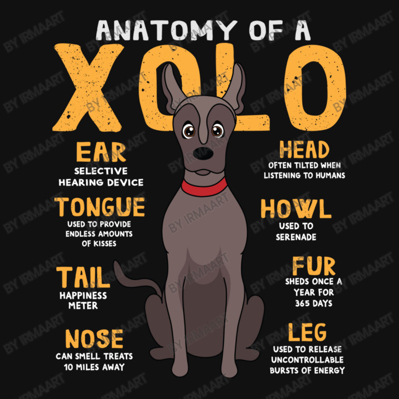 Anatomy Of Xolo Dog Throw Pillow | Artistshot