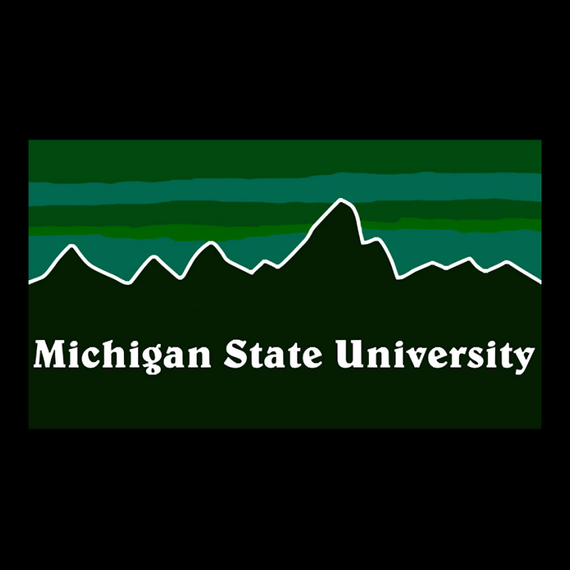 Msu Landscape Youth Hoodie | Artistshot