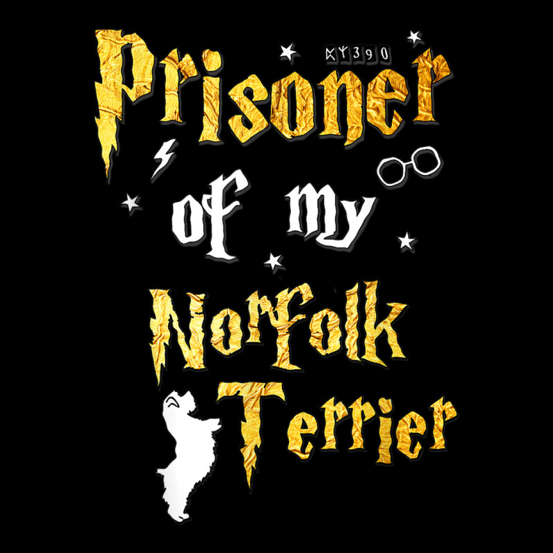 Norfolk Terrier Gifts   Norfolk Terrier Women's V-Neck T-Shirt by Posh | Artistshot