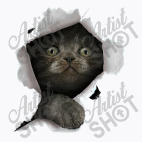 Cat Shirt, Gray Cat Tshirt, Cat Torn Cloth Shirt, Kitten T-shirt | Artistshot