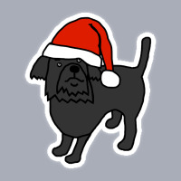 Cute Dog Wearing A Santa Hat At Christmas Tank Dress | Artistshot