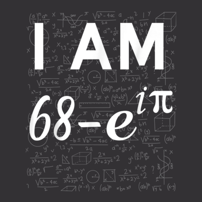 69th Birthday 69 Years Old Math Geek Euler Identity Vintage Hoodie | Artistshot