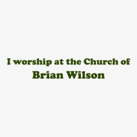 I Worship At The Church Of Brian Wilson Ladies Fitted T-shirt | Artistshot