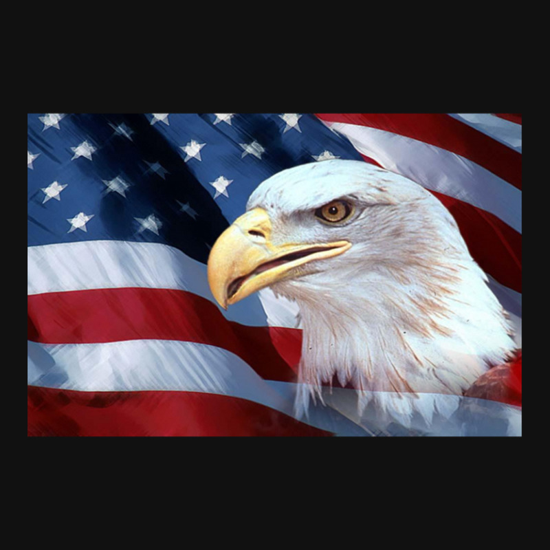 American Bald Eagle And American Flag Front Car Mat | Artistshot