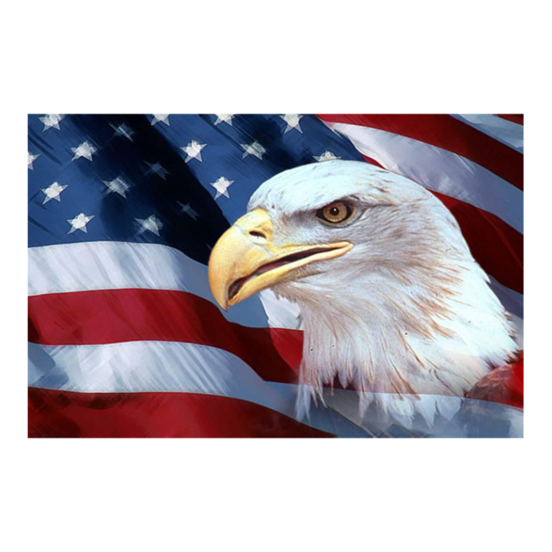 American Bald Eagle And American Flag Sticker | Artistshot