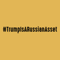 Trump Is Russian Asset Vintage Hoodie And Short Set | Artistshot