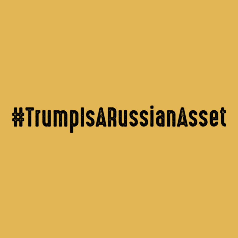 Trump Is Russian Asset Vintage Hoodie And Short Set | Artistshot