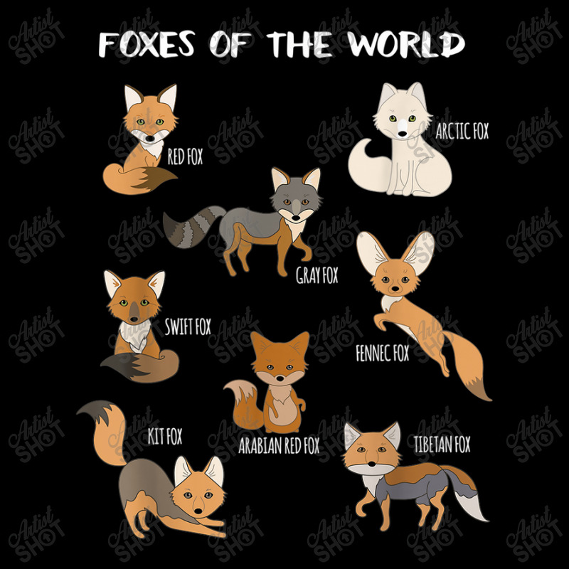 Foxes Of The World Funny Fox Animals Educational Men's Long Sleeve Pajama Set by Rainbow90 | Artistshot