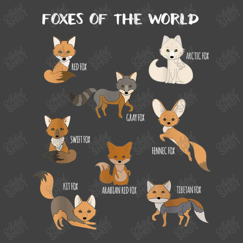 Foxes Of The World Funny Fox Animals Educational Vintage T-Shirt by Rainbow90 | Artistshot