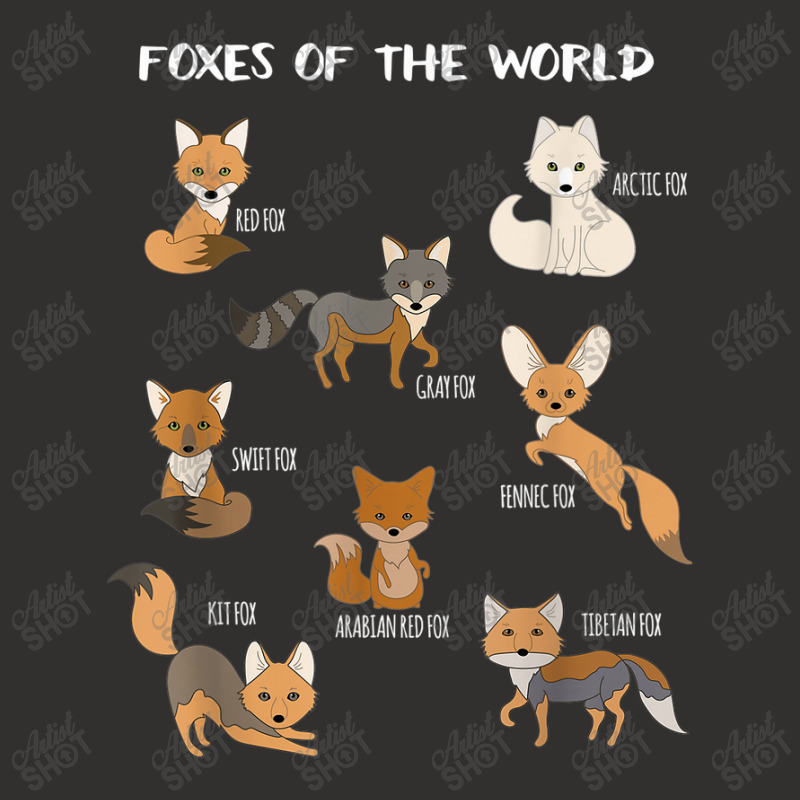 Foxes Of The World Funny Fox Animals Educational Champion Hoodie by Rainbow90 | Artistshot