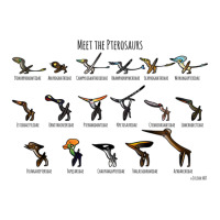 Meet The Pterosaurs For Boyfriend Unisex Hoodie | Artistshot