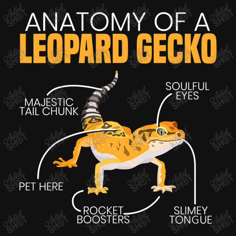 Anatomy Of A Leopard Gecko Lover Lizard Animal Reptile Motorcycle