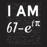 68th Birthday 68 Years Old Math Geek Euler Identity T-shirt | Artistshot