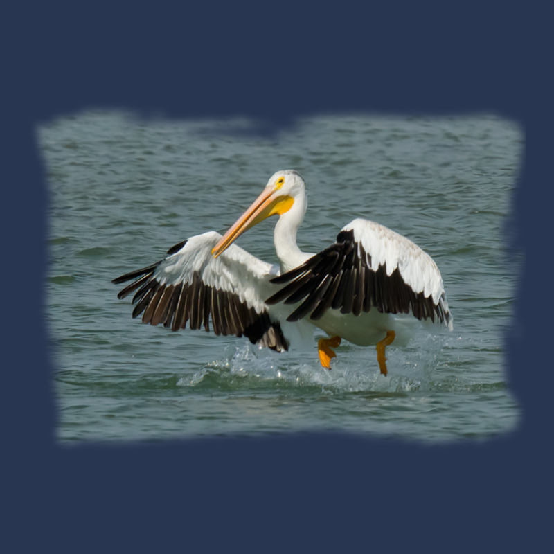 Pelican Landing In Water Ladies Denim Jacket | Artistshot