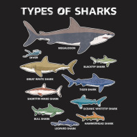 9 Types Of Sharks Educational Colorful Ocean T-shirt | Artistshot