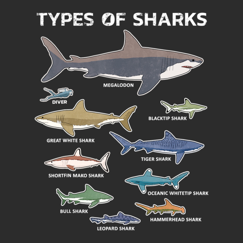 9 Types Of Sharks Educational Colorful Ocean Exclusive T-shirt | Artistshot