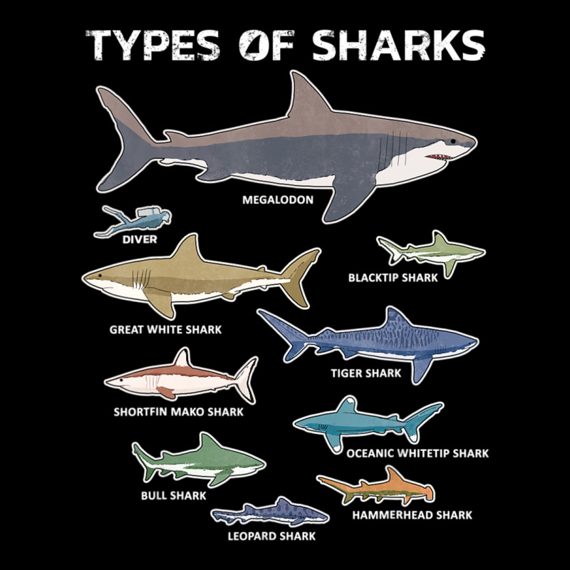 9 Types Of Sharks Educational Colorful Ocean Lightweight Hoodie | Artistshot