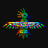 Native American Hummingbird 1 Crop Top | Artistshot