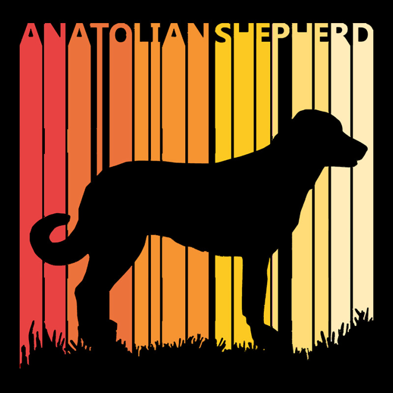 Anatolian Shepherd T  Shirt Vintage Anatolian Shepherd Dog T  Shirt Youth Sweatshirt by delmer | Artistshot